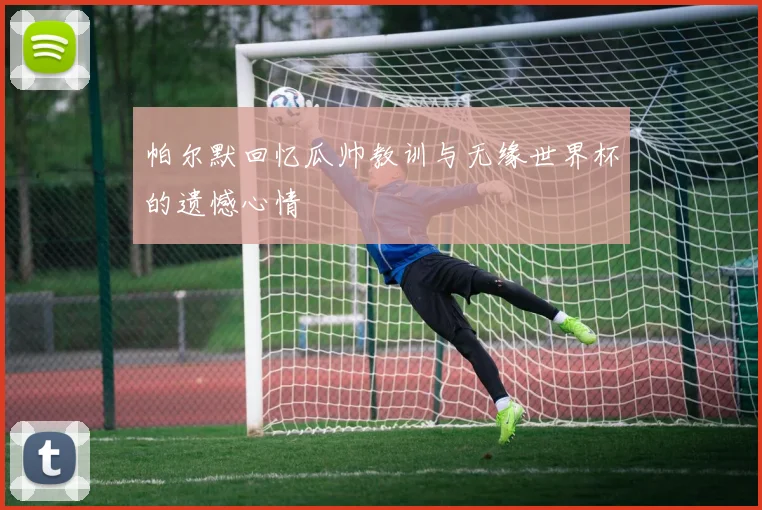 帕尔默回忆瓜帅教训与无缘世界杯的遗憾心情